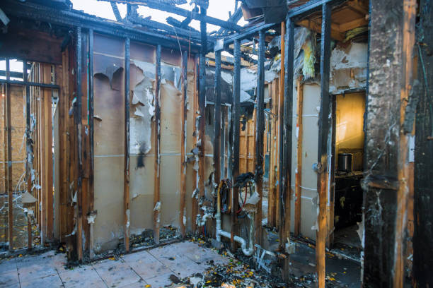 Professional Soot Cleanup technician working in Elkridge, MD